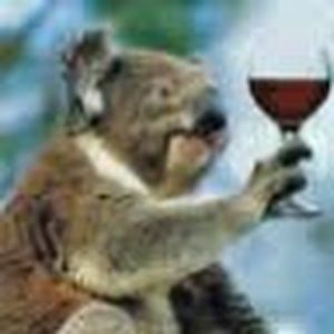 Meet your Posher, Liron